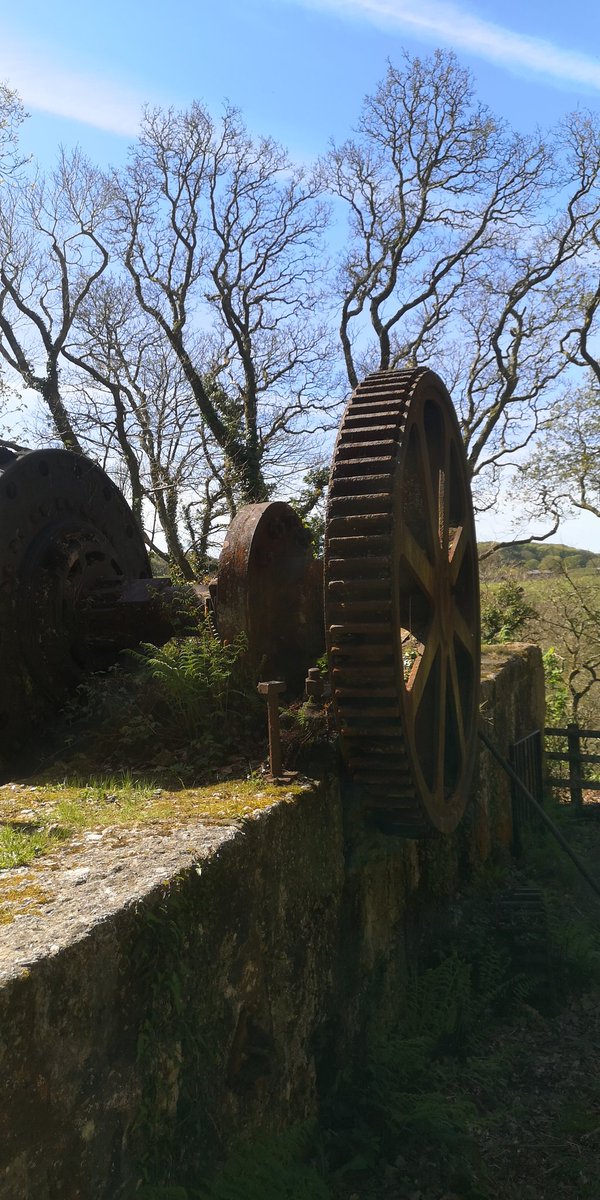 stueydapainter's tweet image. A lovely walk today in Luxulyan Valley, starting from Ponts Mill, past the Prideaux Viaduct and up the inclined plane to the Carmears Wheel Pit. A beautiful sunny day, snacks, sun, and birdsong, with my friend and companion and her little dog, too. 
#cornwall