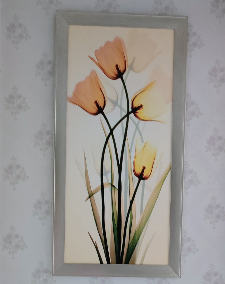 shagufta ghori tweet media