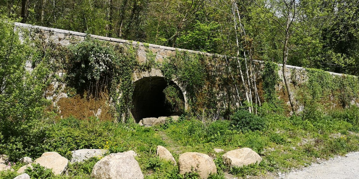 stueydapainter's tweet image. A lovely walk today in Luxulyan Valley, starting from Ponts Mill, past the Prideaux Viaduct and up the inclined plane to the Carmears Wheel Pit. A beautiful sunny day, snacks, sun, and birdsong, with my friend and companion and her little dog, too. 
#cornwall
