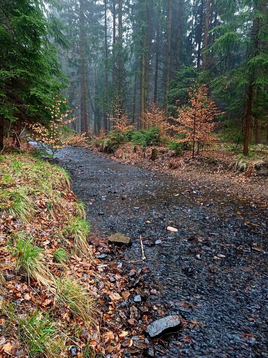 Strickschal tweet media