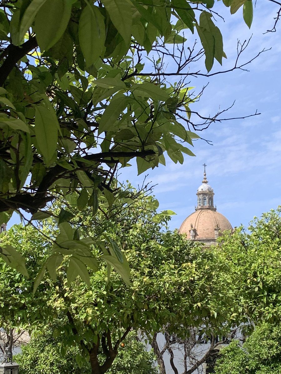 Wilhelm(ina) I the Frigid ۞ tweet media