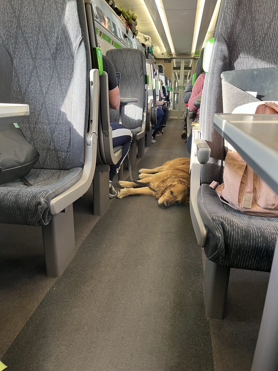 あぶそる〜とロンドン Absolute London tweet media