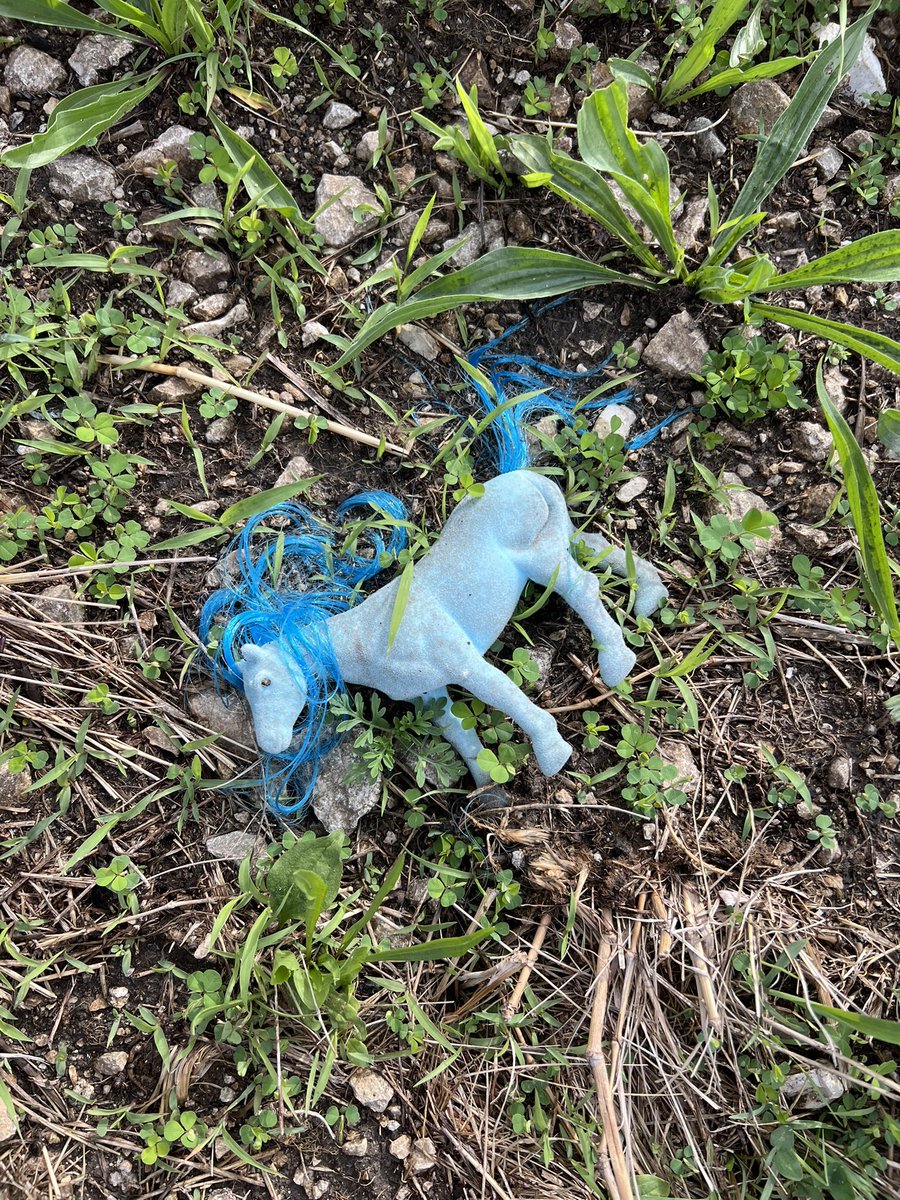 rew_erin's tweet image. My daughter and I picked up trash this weekend and found this little pony on the side of the road. She couldn't bear to throw her away, so she took a ride in my pocket and came home with us. Now I have an inspiration for a new #PB. 😉

#kidlit #WritingCommnunity