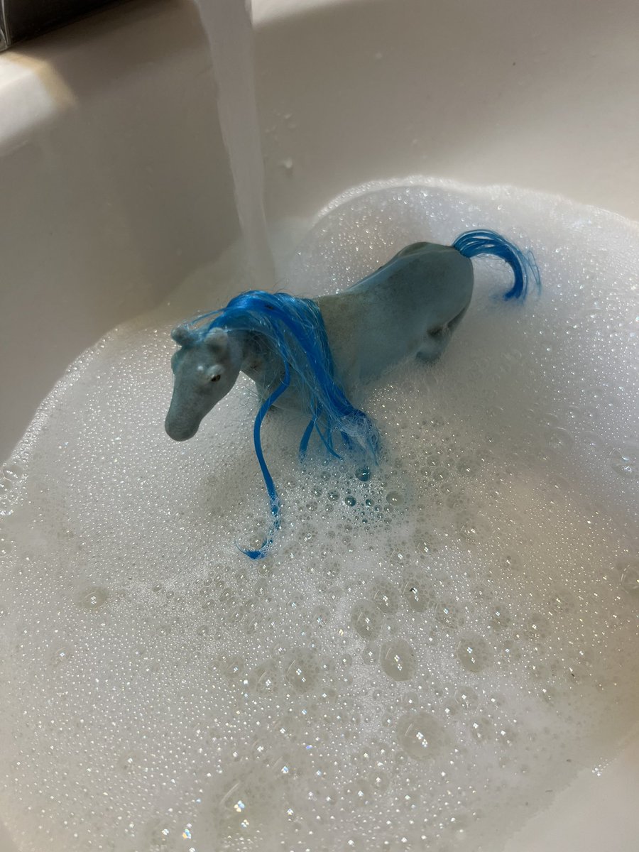 rew_erin's tweet image. My daughter and I picked up trash this weekend and found this little pony on the side of the road. She couldn't bear to throw her away, so she took a ride in my pocket and came home with us. Now I have an inspiration for a new #PB. 😉

#kidlit #WritingCommnunity