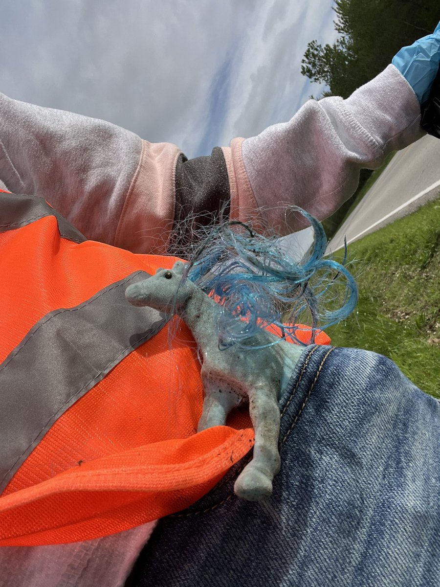 rew_erin's tweet image. My daughter and I picked up trash this weekend and found this little pony on the side of the road. She couldn't bear to throw her away, so she took a ride in my pocket and came home with us. Now I have an inspiration for a new #PB. 😉

#kidlit #WritingCommnunity