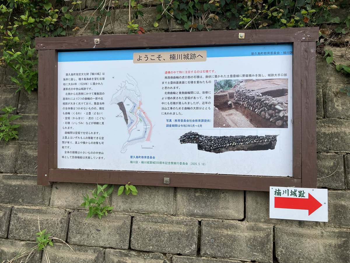 旅猫にゃにゃかつ tweet media