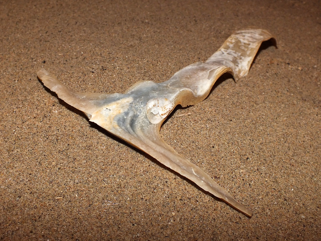 🍂pracklyy⚓ tweet media