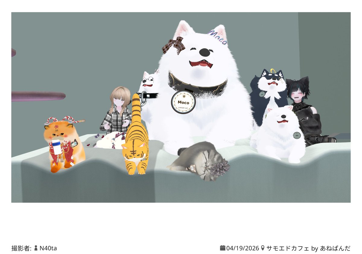 ヒトデ tweet media