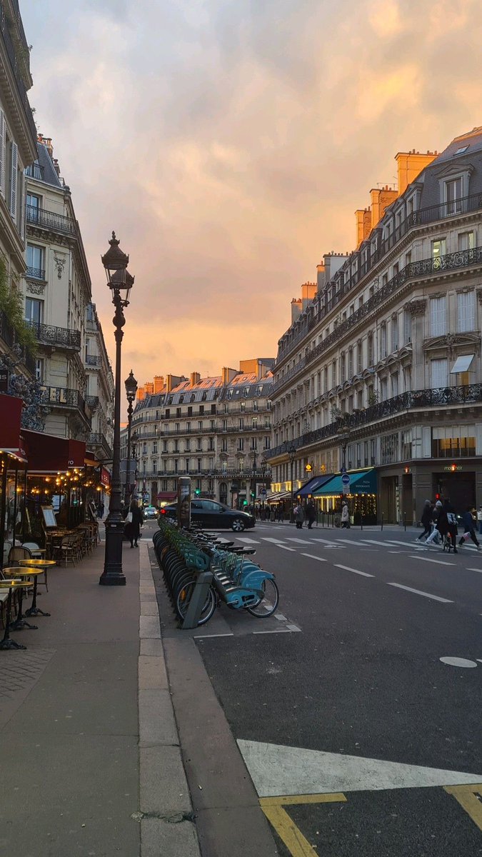 𝗖𝗛𝗥𝗜𝗦 𝗖𝗛𝗘𝗘𝗥𝗜𝗞𝗢 🇧🇷 tweet media