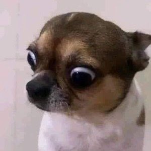 Laura C🎀📉 tweet media