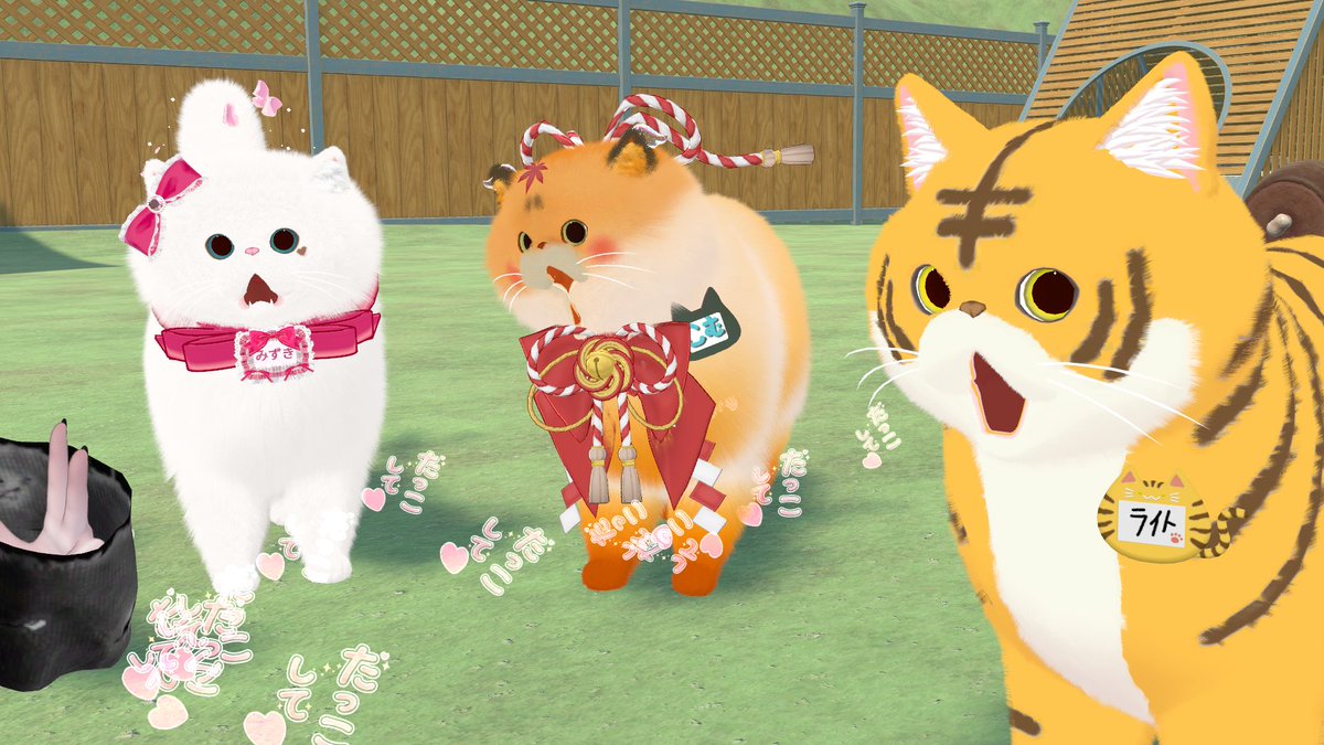 ヒトデ tweet media