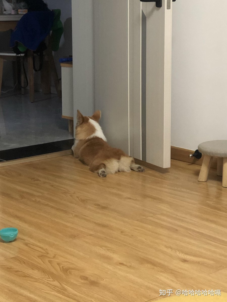 Info Tweet tweet media