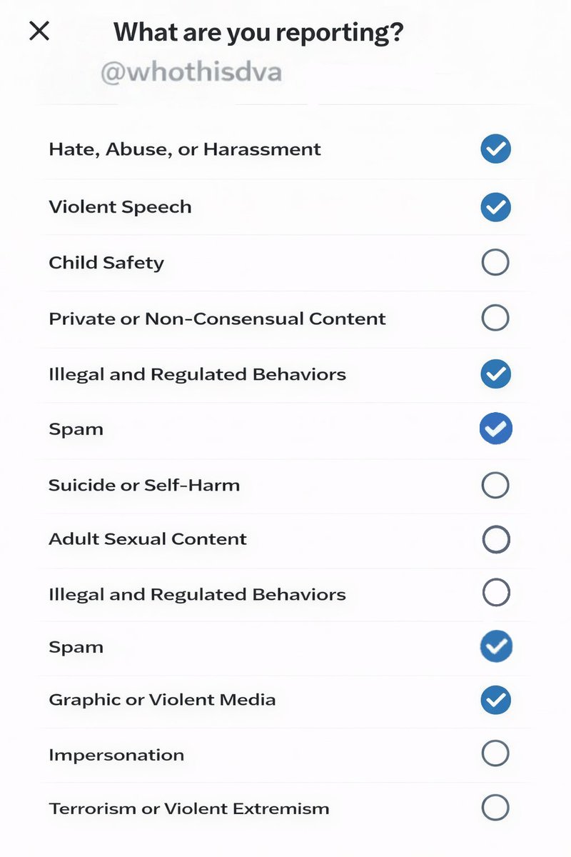 Lilisa_Daily tweet media