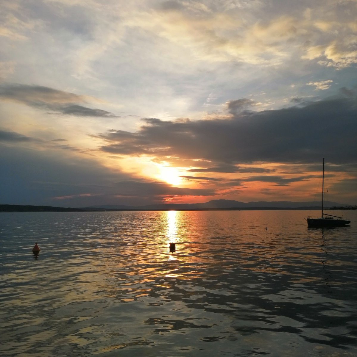 Bruno Zupan tweet media