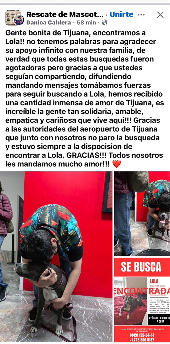 Minerva2603's tweet image. Les tengo una noticia encontraron a #Lola cuando la gente se une y se organiza puede lograr grandes cosas 
@LicAnimalista 

facebook.com/share/p/1DpxoW…
