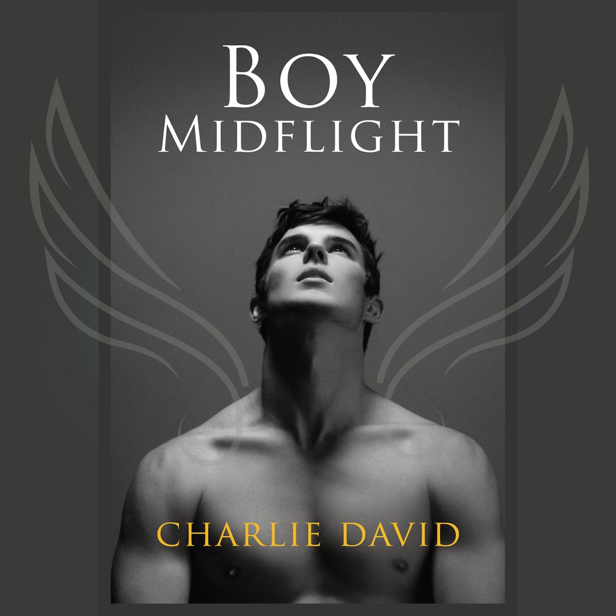 WeMakeLoveTV's tweet image. Listen to the new chapter of Boy Midflight on YouTube podcasts. youtu.be/lyZK1YgW40o?si…

SYNOPSIS: At eighteen, Ashley seems to have everything: looks, talent, and even a girlfriend. What more could a young m...
#MM #MMRomance #BLseries #audiobook #gayromance #gay #novel #podcast