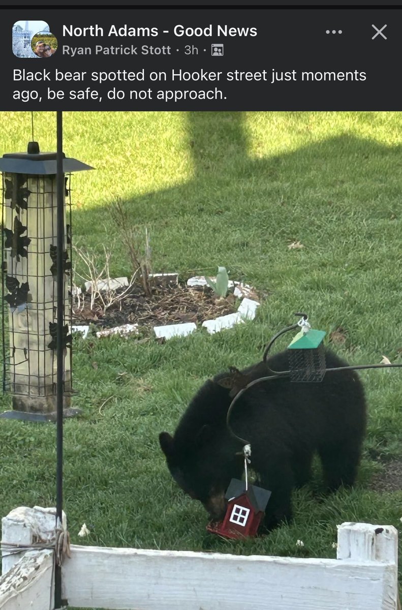 Katrin Albert tweet media