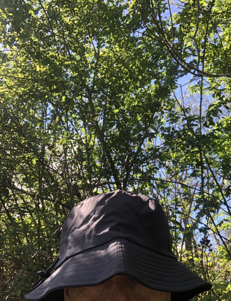 IMDigitalMedia_'s tweet image. Officially called summer 🌞🌅🕶️☀️ with the headgear change #summerishere #NorthamptonUK