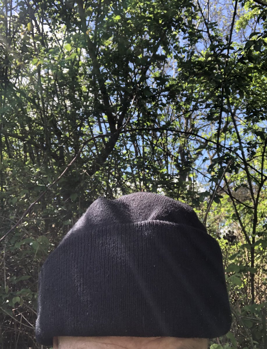 IMDigitalMedia_'s tweet image. Officially called summer 🌞🌅🕶️☀️ with the headgear change #summerishere #NorthamptonUK