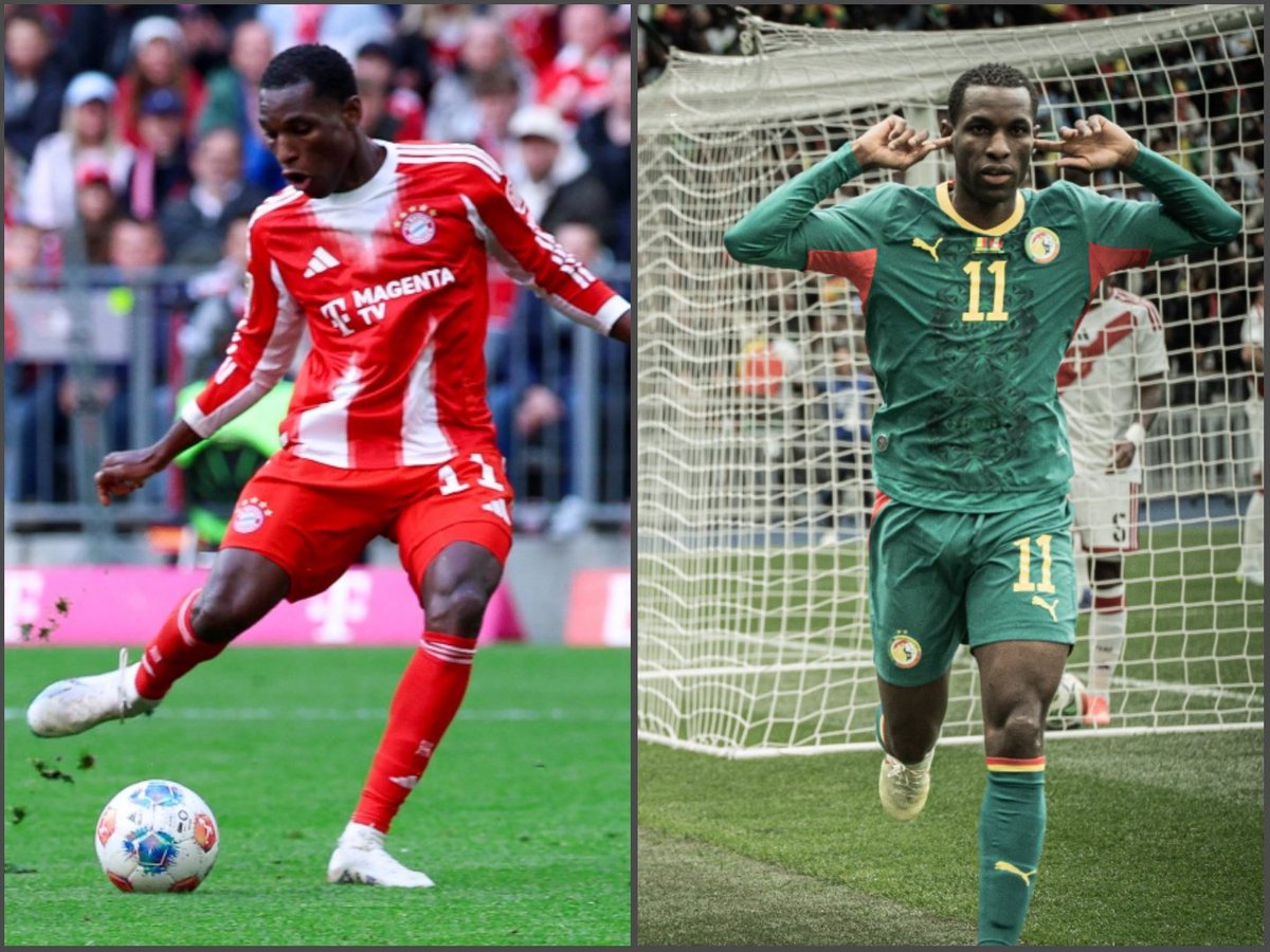 Teranga Boy 🇸🇳🦁 tweet media