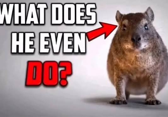 Ryan Haber tweet media