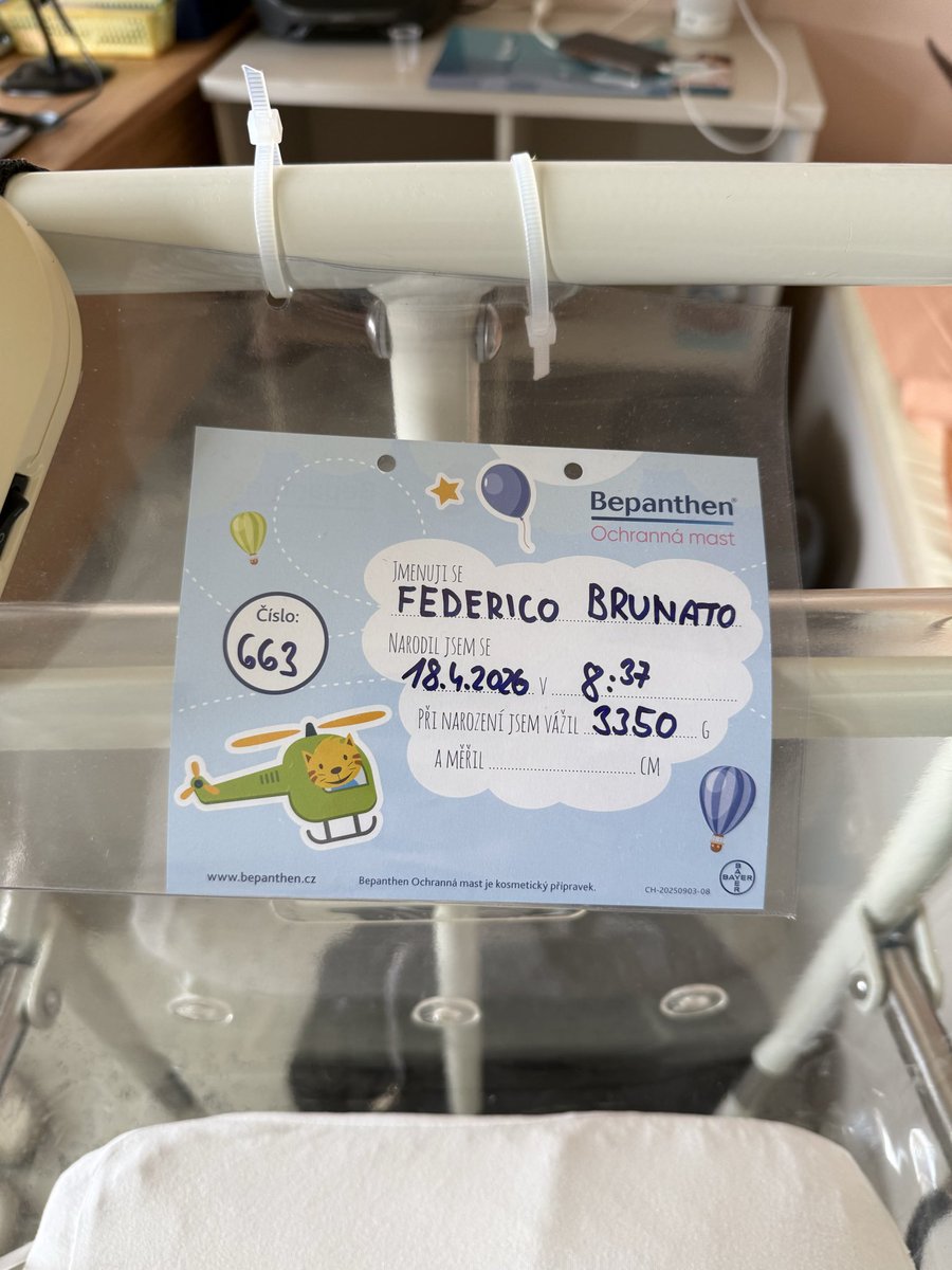 Federico Brunato tweet media