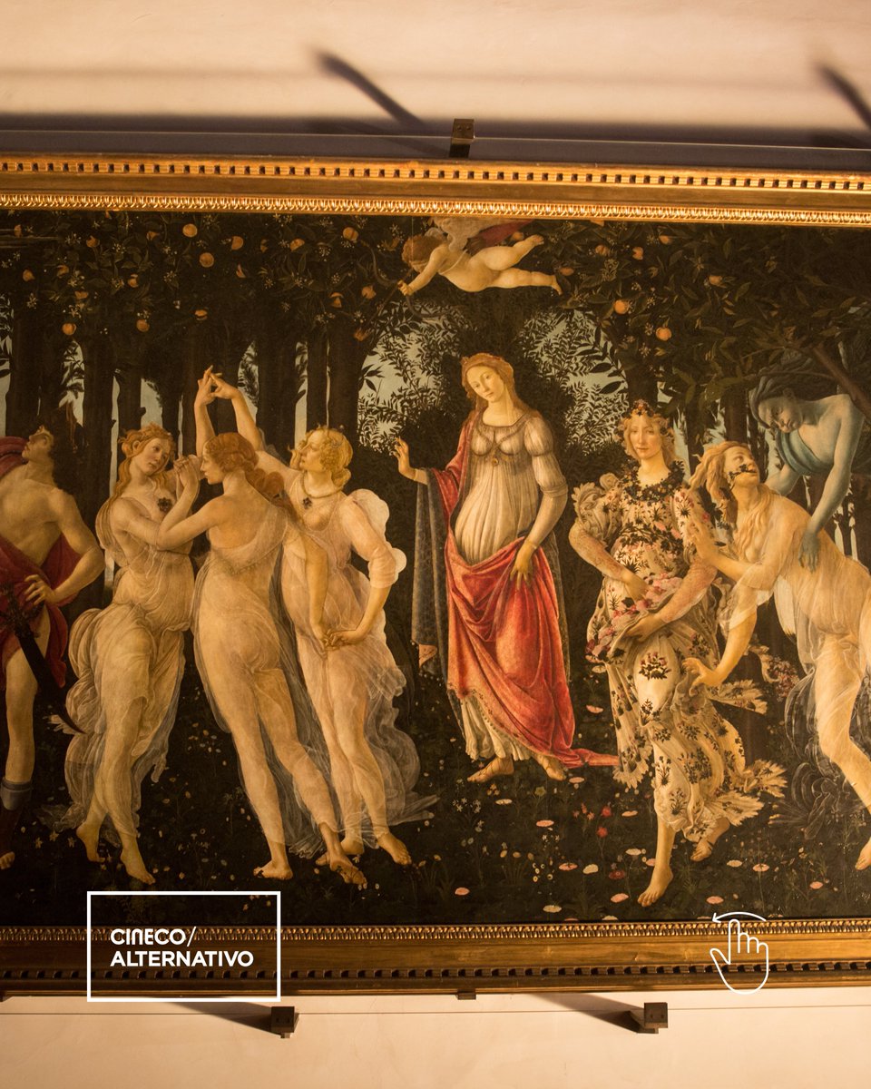 Cineco Alternativo tweet media