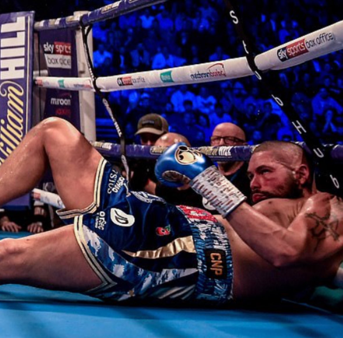 The Third Kit tweet media