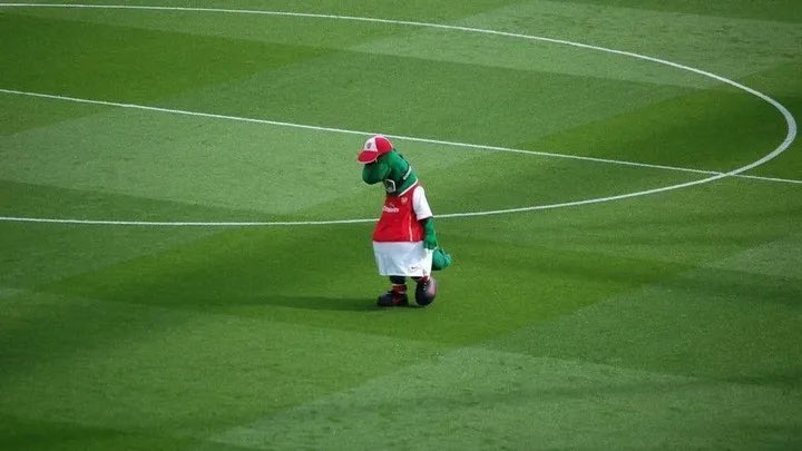 Patrick Timmons tweet media