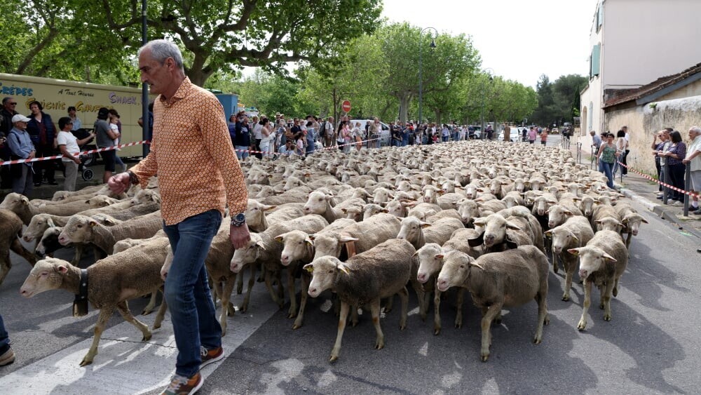 La Provence tweet media