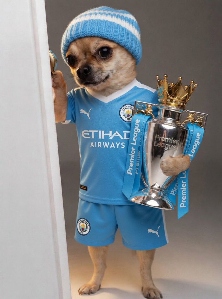 only1frosh tweet media