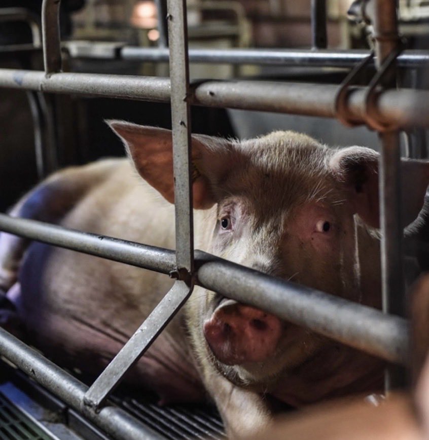 NothingIsArt tweet media