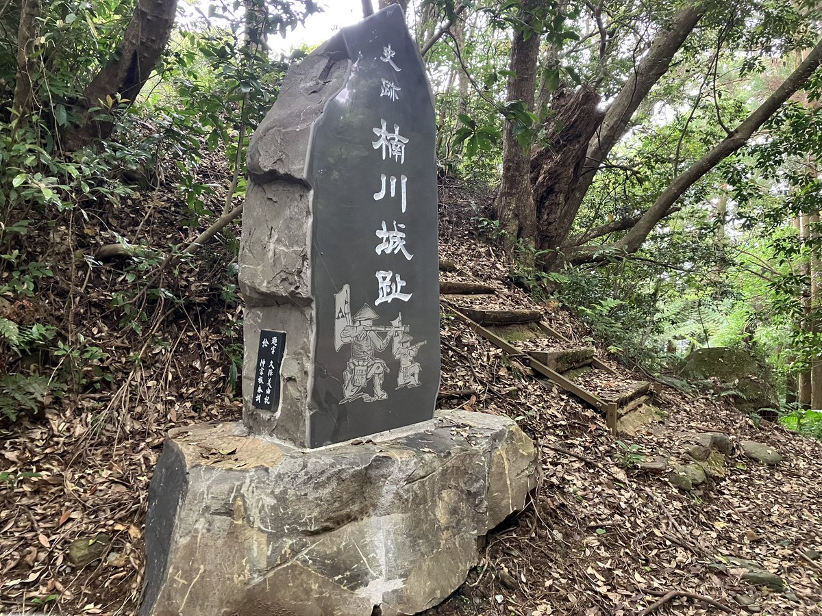 旅猫にゃにゃかつ tweet media