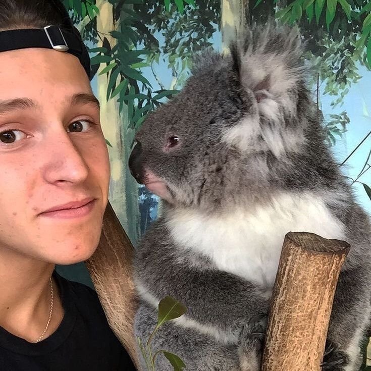 vee 🦈 tweet media