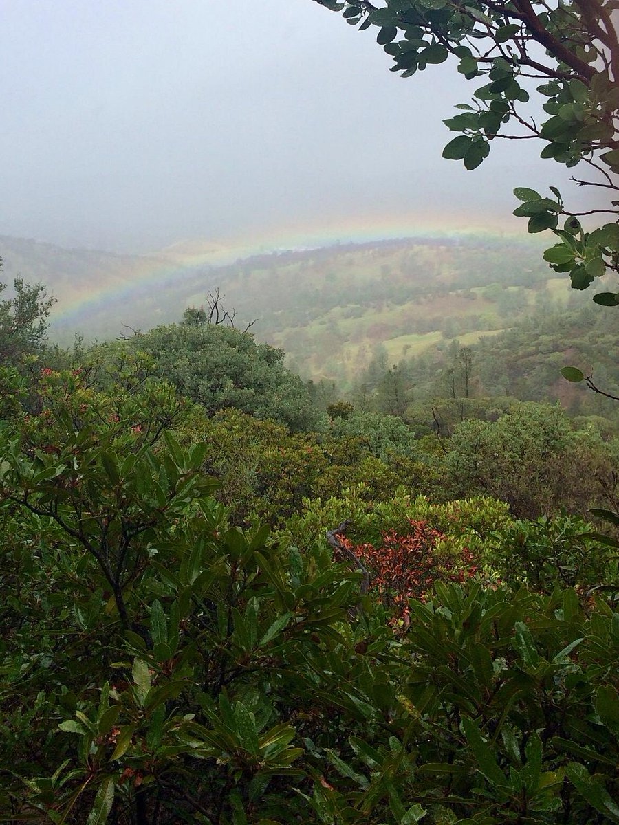 Brett Leonard tweet media