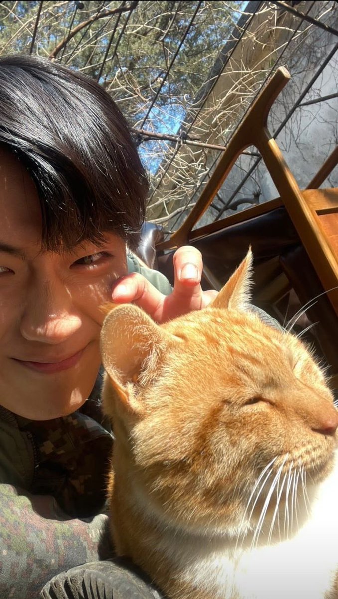 𝘉 彡 𝘉𝘢𝘭𝘭𝘺 ·͜·♡ tweet media