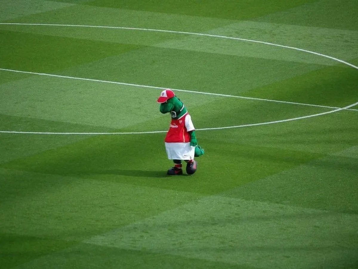 Jonasz Zasowski tweet media