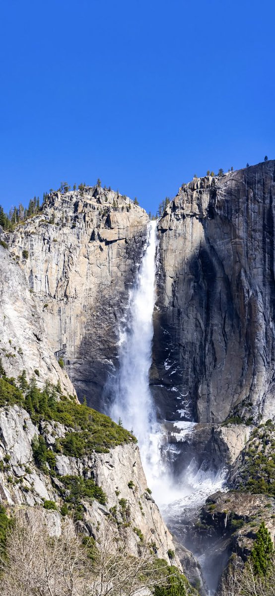 Sebastian Calleri tweet media