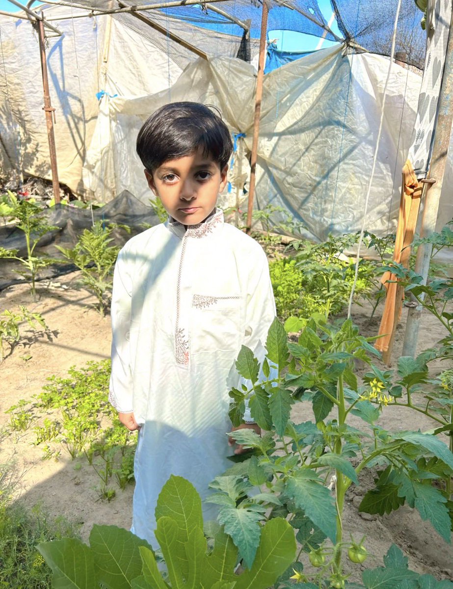 M a h a 𓂆 tweet media