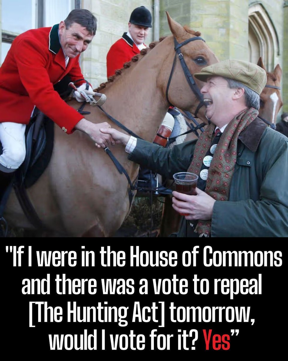 Protect the Wild tweet media