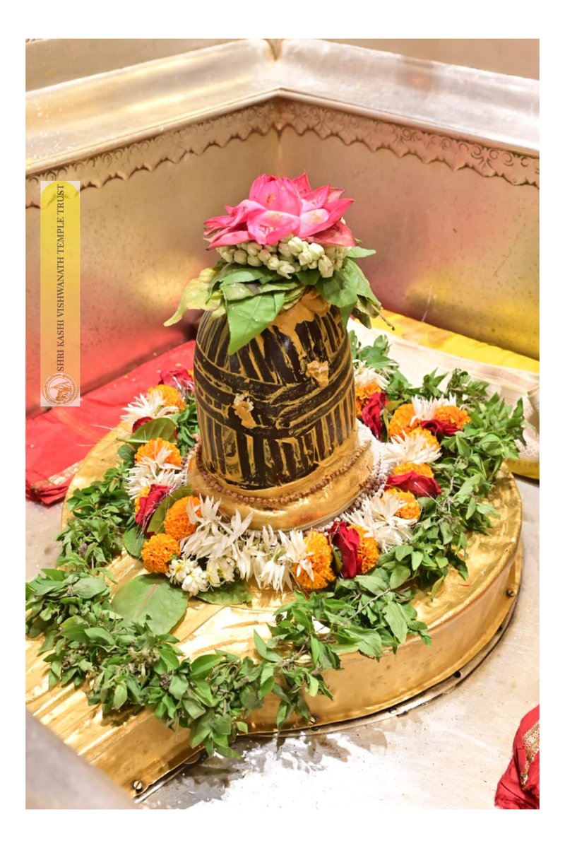 ShriVishwanath's tweet image. श्री काशी विश्वनाथ जी की श्रृंगार आरती I
#kashivishwanath #kashi #hindu #sanatandharm