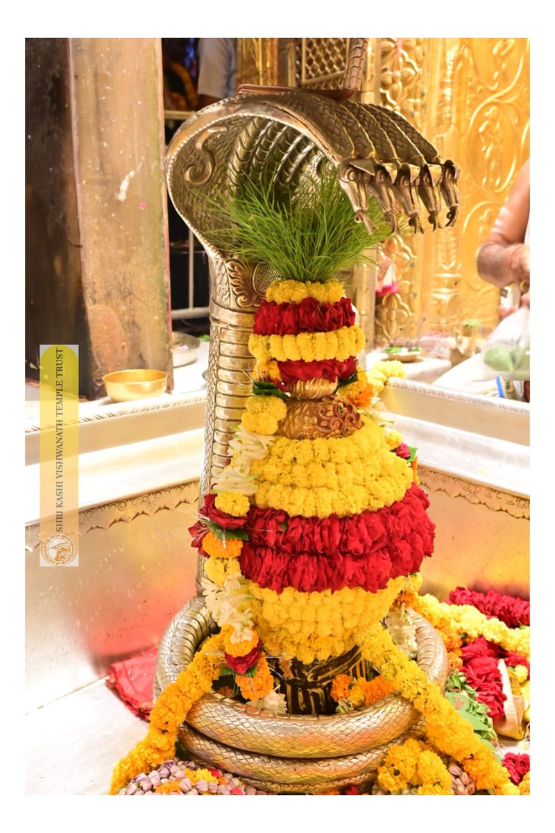 ShriVishwanath's tweet image. श्री काशी विश्वनाथ जी की श्रृंगार आरती I
#kashivishwanath #kashi #hindu #sanatandharm
