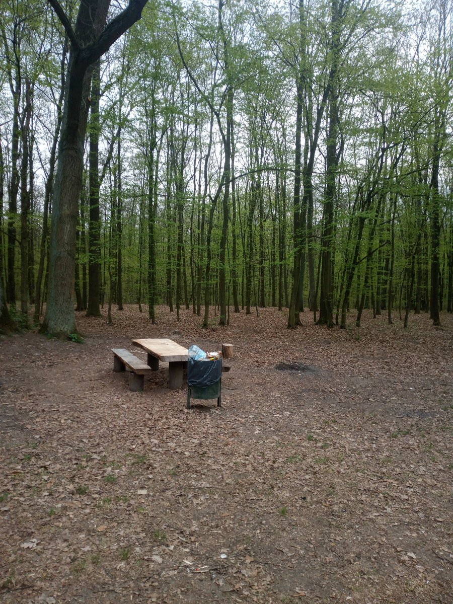 Stanisław Żerko tweet media