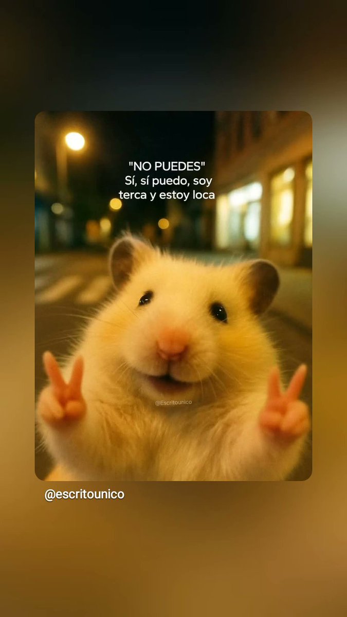 🇩🇴 ♥'ℓα_ιηØℓ'♥🇩🇴 tweet media