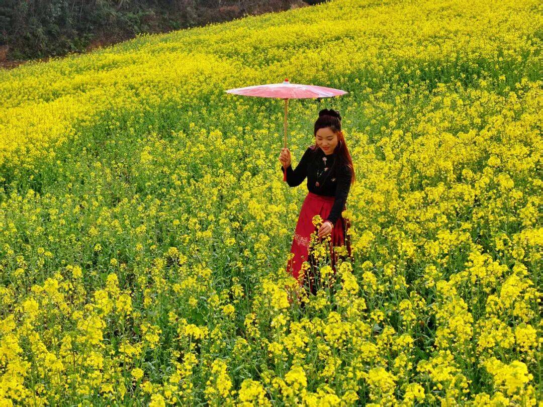 santosh k khedekar tweet media