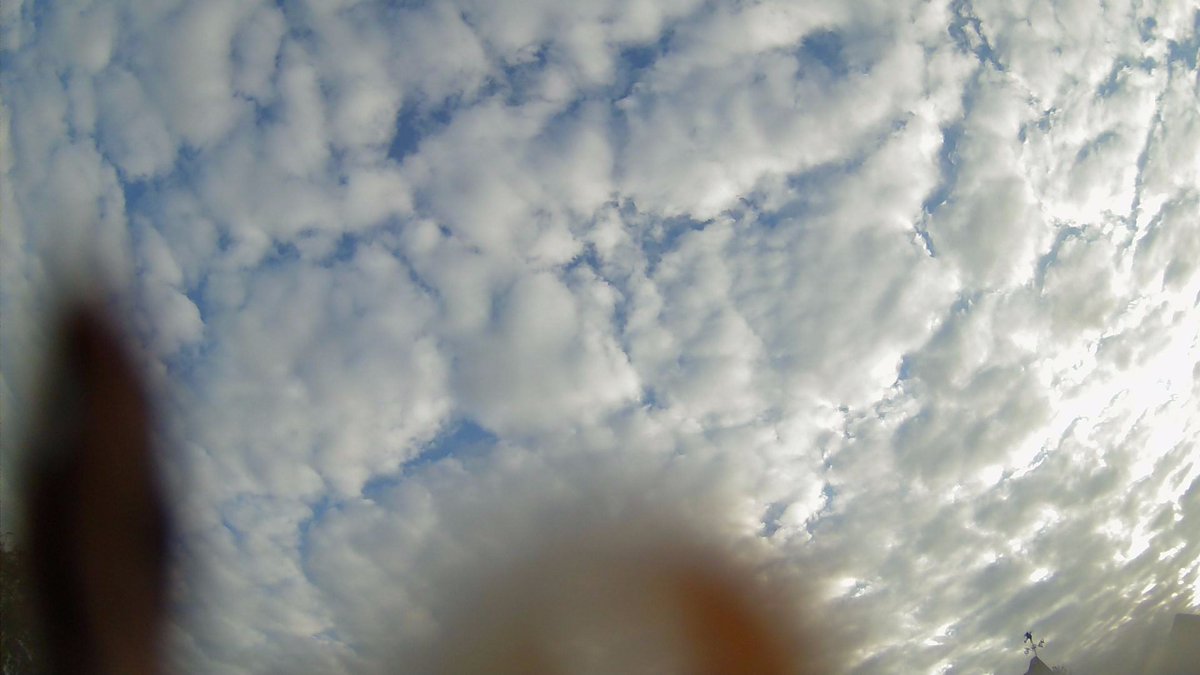 DeepdaleWeather's tweet image. Dry 9.1°C Hum 82 Wind 3.2 mph NNE (Force 1) - More info &amp;amp; data online deepdalecamping.co.uk/weather/ #Weather #sky