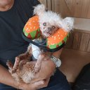 Chain CTO Scanner tweet media