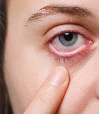 Jakob | Move or Die tweet media