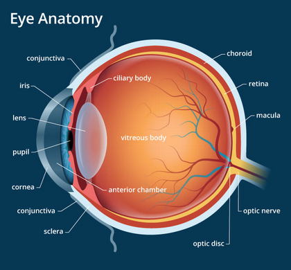 Jakob | Move or Die tweet media