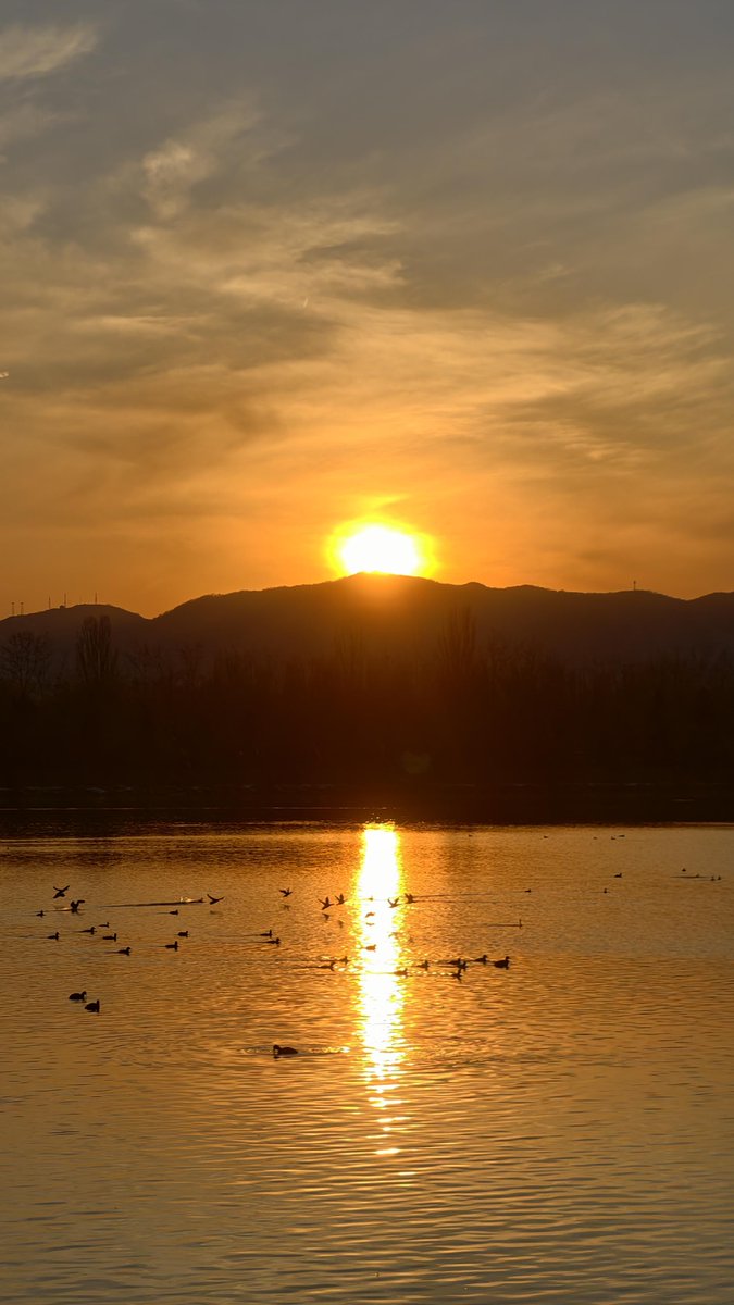 abusoltan tweet media